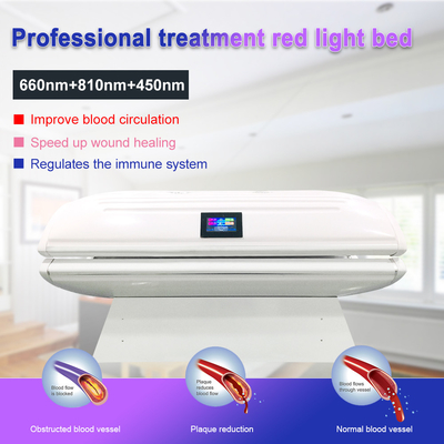 Suyzeko OEM Wellness Center LED Light Photodynamic Body Contouring 635nm 880nm Tempat Tidur Terapi Lampu Merah untuk Penggunaan Komersial